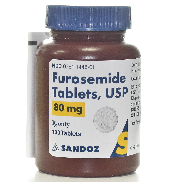 furosemide and kidney disease in dogs