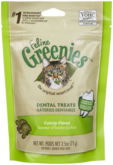 greenies feline catnip flavor dental cat treats