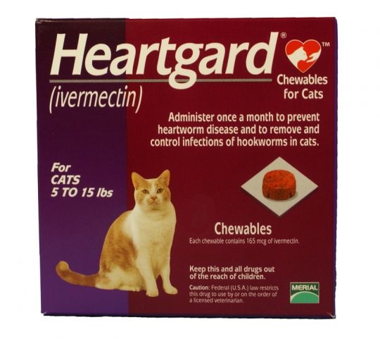 1 MONTH Heartgard Plus for Cats 5 to 15 lbs