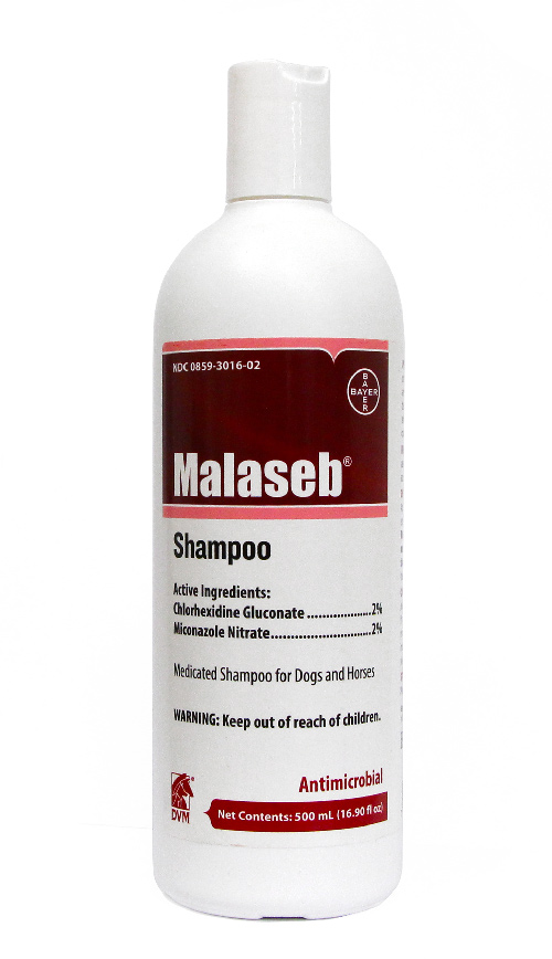 Malaseb Shampoo 16 oz