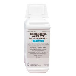 Megestrol Oral Suspension 40mg/mL 240mL