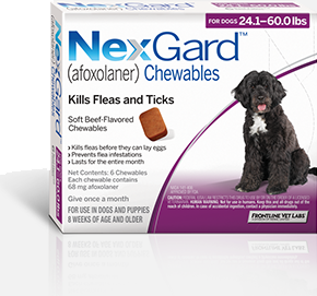 nexgard pill