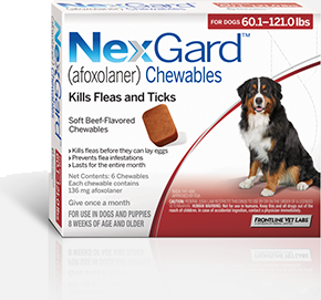 flea and tick pill for dogs 3 months