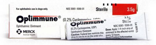 optimmune eye drops