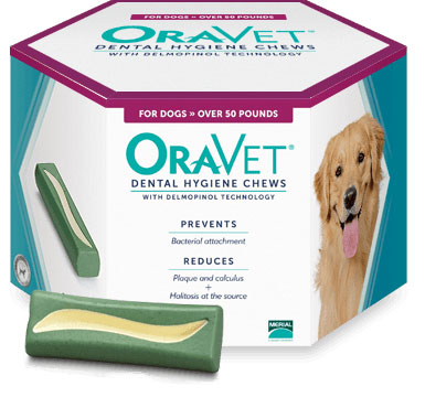 oravet chews large