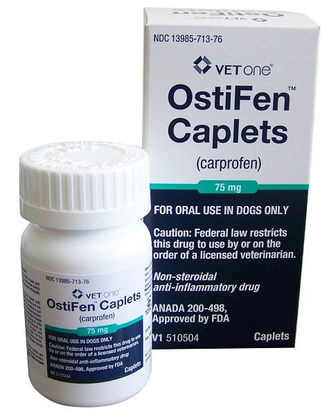 ostifen dogs