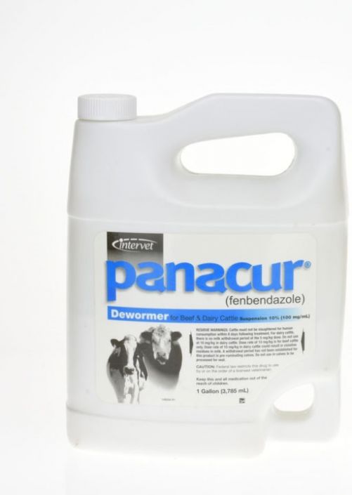 panacur heartworm