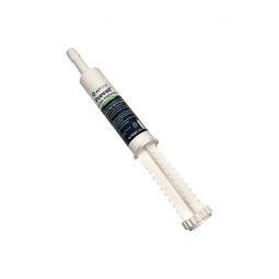 Prevail Equine Paste 30gm