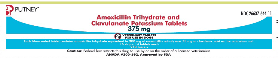 amoxicillin joint pain