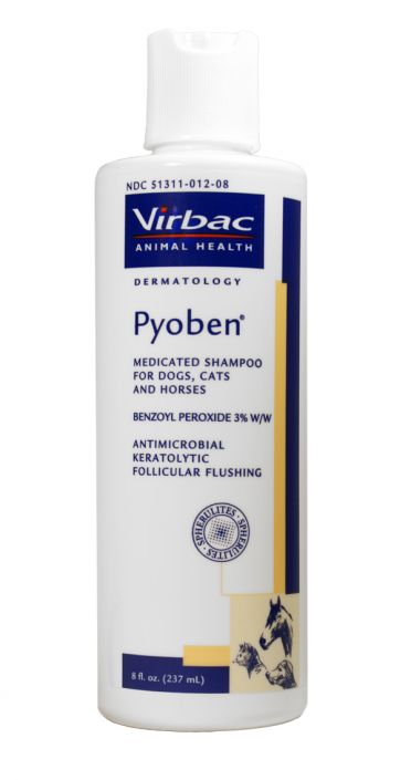 Pyoben Medicated Shampoo 16 oz