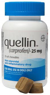 Quellin 25mg 1 Soft Chew