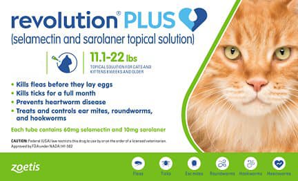 Revolution Plus for Cats 22lbs Month