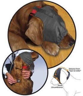Thunder cheap calming cap