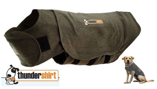 thundershirt extra small