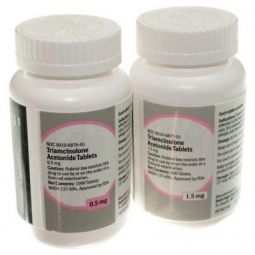 Triamcinolone 0.5 mg PER TABLET