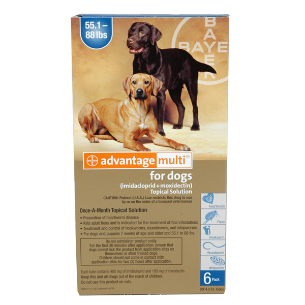 Tramadol In Dogs And Cats Tramadol In Dogs And Cats
